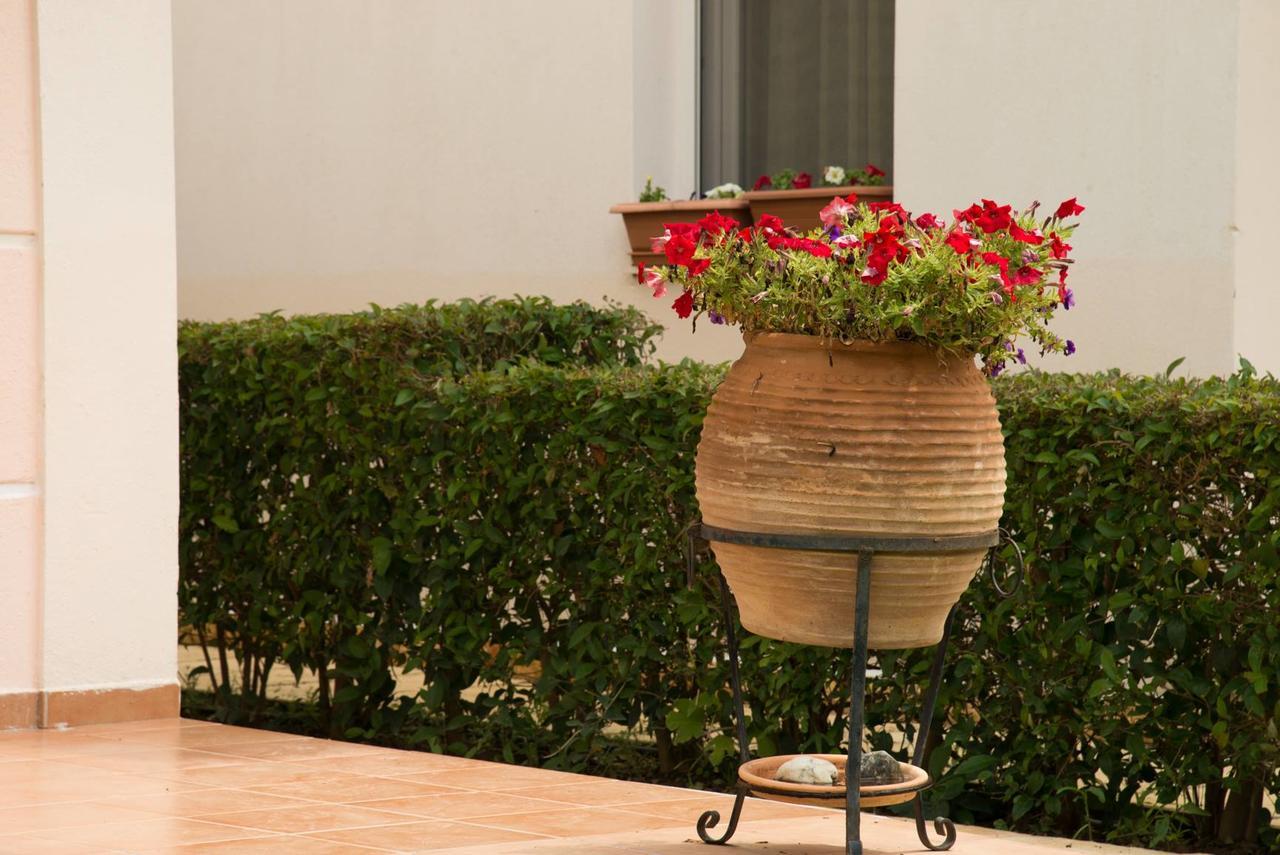 Bitzios Rent Houses Nikiti  Dış mekan fotoğraf